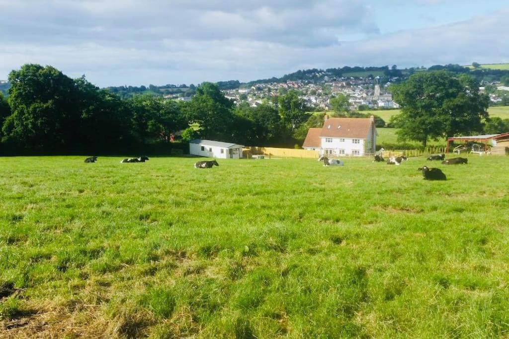 Park Gate House Farm Holidays, Colyton-'Elizabeth Buitenkant foto